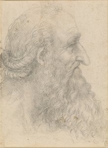 ひげを生やした老人の頭、1517年頃。