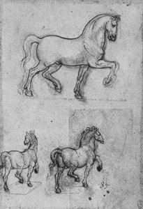 馬の3つの研究、c1480 1945 作： Leonardo da Vinci