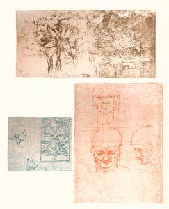 3つの図面、c1472-c1519 1883 作： Leonardo da Vinci