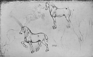 馬に関する2つの研究、疾走する騎手と馬の脚に関するその他の研究、c1480 1945 作： Leonardo da Vinci