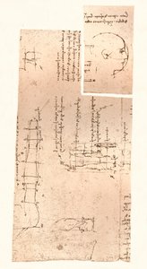 人物の比率の理論を説明する2つの図、c1472-c1519 1883 作： Leonardo da Vinci