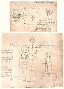 人物の比率の理論を説明する2つの図、c1472-c1519 1883。 作： Leonardo da Vinci