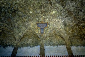 野菜のインターレースレオナルド・ダ・ヴィンチ（1452-1519）による壁へのテンペラ画（レオナルド・デ・ヴィンチ） 1498年 スフォルツェスコ城（スフォルツァ公爵家の城）ミラノのサラ・デッレ・アッセ 作： Leonardo da Vinci