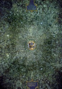 野菜のインターレースレオナルド・ダ・ヴィンチ（1452-1519）による壁へのテンペラ画（レオナルド・デ・ヴィンチ） 1498年 スフォルツェスコ城（スフォルツァ公爵家の城）ミラノのサラ・デッレ・アッセ 作： Leonardo da Vinci
