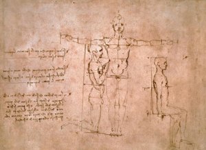 比較比率研究... 作： Leonardo da Vinci