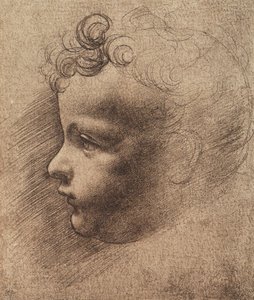 小さな男の子の頭。レオナルド・ダ・ヴィンチの絵。ルーブル美術館、パリ