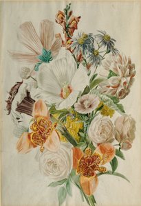ハイビスカスとユリの花束 作： Leopold von Stoll
