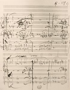 ミュージカル「The Cunning Little Vixen」の楽譜（紙にインク 作： Leos Janacek