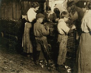 1913年、サウスカロライナ州ブラフトンのVarn und Platt Canning Co.で7ポットを打った3年間（1日6ポット）を打った10歳のジミー 作： Lewis Wickes Hine