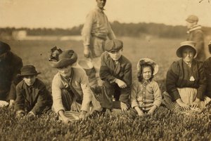 1911年、マサチューセッツ州サウスカーバーのSmart&39;s Bogで、Annette Royは7歳、Napoleon Ruelは9名がクランベリー狩りであると述べています。 作： Lewis Wickes Hine