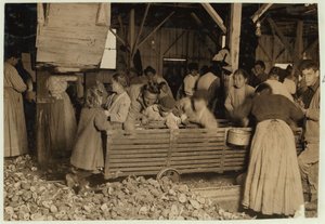 1911年、ミシシッピ州ビロクシのバラタリアキャニングカンパニーにある小屋で、5歳のビルメイ 作： Lewis Wickes Hine