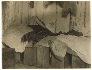 1910年、ニュージャージー州ペンバートン近くのターキータウンにあるフォーサイスの沼地にあるクランベリーピッカーのデマルコ小屋 作： Lewis Wickes Hine