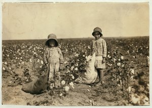 ジュエルとハロルドウォーカー、6歳と5歳、1916年、コマンチ郡オクラホマ州ジェロニモで1日に20〜25ポンドの綿を選ぶ 作： Lewis Wickes Hine