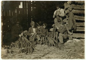 1916年、ケンタッキー州ロックフィールドのウォレン郡で、12歳、14歳、17歳のJSバーチの息子たち 作： Lewis Wickes Hine