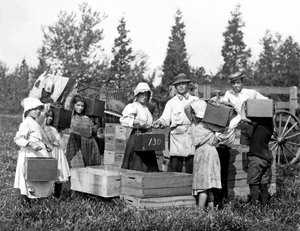 不明な画像 作： Lewis Wickes Hine
