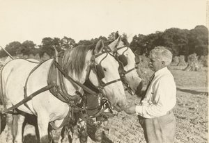 無題」1935年頃 作： Lewis Wickes Hine