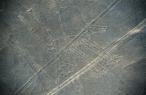 犬、ナスカの地上絵、ナスカ、ペルー、ナスカ文明（写真