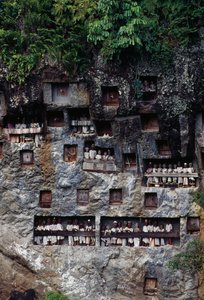 タウタウ族の遺体が納められた葬儀用のニッチ（インドネシア、スラウェシ島、タナ・トラジャ、レモ村