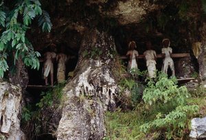 タウタウ族の遺体が置かれた葬儀用のニッチ（インドネシア、スラウェシ島、タナ・トラジャ県、マランテ村 作： Unbekannt Unbekannt