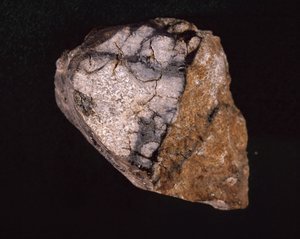 1875年にインドで発見された隕石 - パリ自然史博物館（Museum d