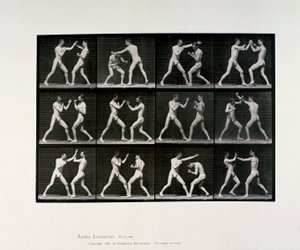 ヌードの男性アスリートがボクシングをする様子（1872-1885年頃 作： Unbekannt Unbekannt