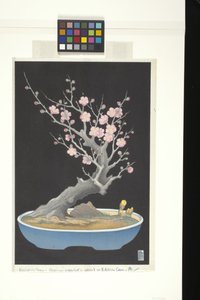 矮性梅（色木版画）