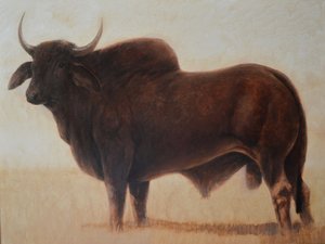 バラモン・ブル 作： Lincoln Seligman