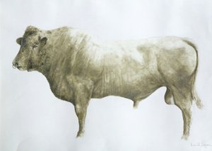 Islay Bull、2004（キャンバスにアクリル）