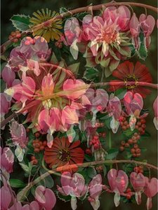 HANGING SPRING COLLAGE, 2017（ミクストメディア）