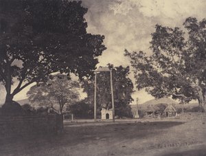 ビーキンプリー1857年12月～1858年1月、マリアマ・コヴィルでのペルモールのスイング（写真） 作： リンネ・トライプ