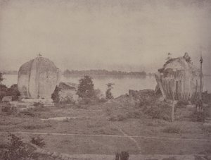 Mengoon: 台無しにされたグリフィン 作： Linnaeus Tripe