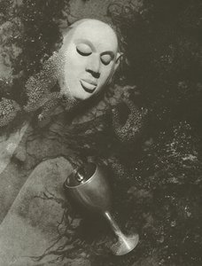 静かな場所 (白黒写真) 作： Lionel Wendt