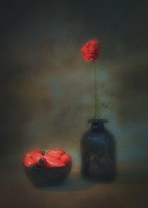  作： Liu Xing