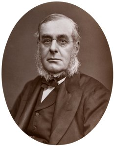 リチャードコリンソン提督、KCB、FRGS、トリニティハウスの副マスター、1877年。 作： Lock and Whitfield