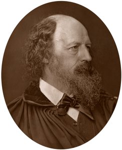 アルフレッドテニーソン、DCL、FRS、英国詩人賞受賞者、1883年。 作： Lock and Whitfield