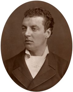 チャールズウィリアムデラポールベレスフォード卿、イギリス海軍将校、1883年。 作： Lock and Whitfield