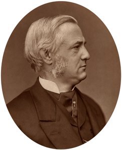 フレデリックマックスミュラー、1878年、オックスフォード大学の比較哲学教授。 作： Lock and Whitfield