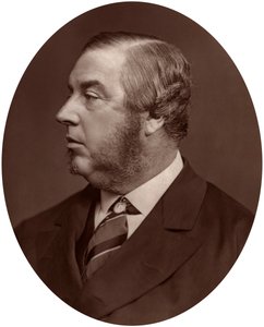 ジョージスクレーターブース議員、1878年地方自治体理事会会長。