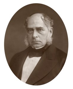 ヘンリーベッセマー、英語のエンジニアであり発明家、1881年 作： Lock and Whitfield