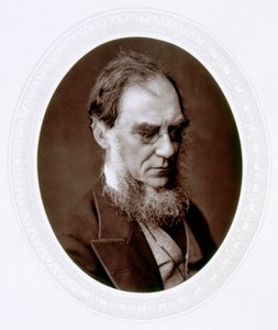 ジョセフダルトンフッカー、イギリスの植物学者、c1880 作： Lock and Whitfield