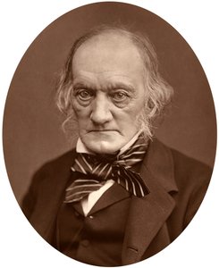 リチャードオーウェン、1878年。 作： Lock and Whitfield