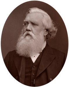 右ハンドルオースティンヘンリーラヤードDCL、イギリスのコンスタンティノープル大使、1877年。 作： Lock and Whitfield
