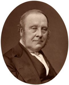 上院議員委員会委員長、1876年。 作： Lock and Whitfield