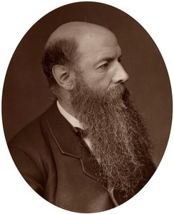 ウィルフリッドローソン卿、政治家、カーライル議会議員、1882年。 作： Lock and Whitfield