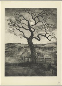 Etikhove の近くの牧草地の馬 Vieux cheval en repos (原題) 作： Lodewijk Schelfhout (signed by artist)