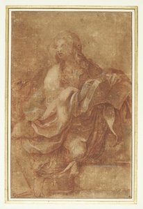 ジョン伝道者 作： Lodovico Carracci