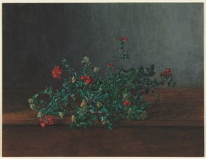 野生の花のある静物、1864。 作： Léon Bonvin