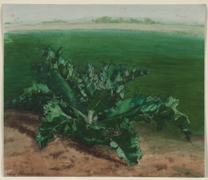 植物の研究、おそらくアザミ、1862。 作： Léon Bonvin