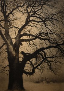レオン・スピリアール（1881-1946）冬のブラファ2019 31-01-2019のツリー 作： レオン・スピリアート