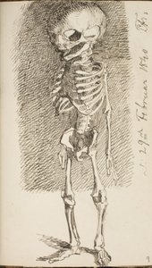 立っているスケルトンのスケッチ 作： Lorenz Frølich